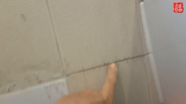 Bosch Gms 120 multi detector 實戰入牆煤氣喉 смотреть онлайн