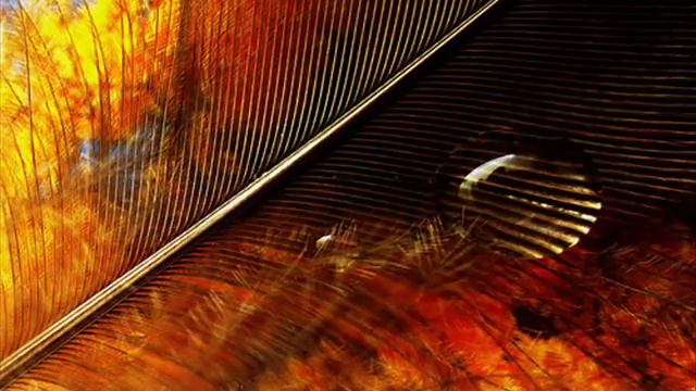 Kevin Kern - safe in your embrace смотреть онлайн