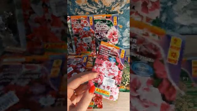 Обзор семян Петуний 🌺 смотреть онлайн