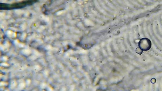 4 02 лялиус хвост2 смотреть онлайн