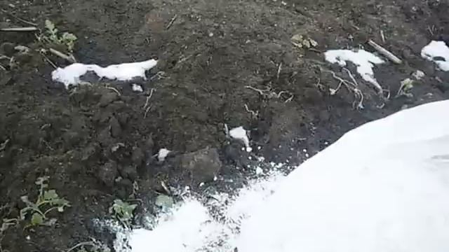 раскисляем почву смотреть онлайн