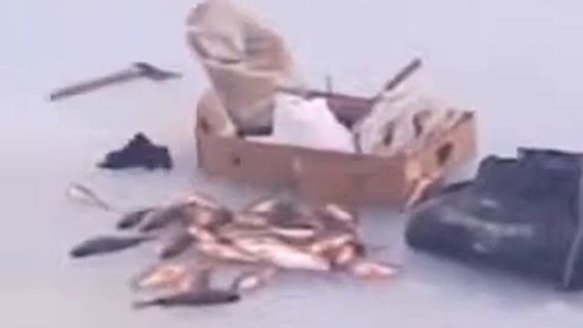 Приколы про зимнюю рыбалку смотреть онлайн