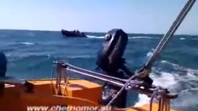 Гонка между катером и тримараном (multihull,boatshow)