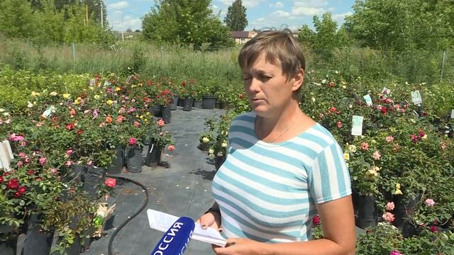 Своя земля. 19.07.2022 смотреть онлайн