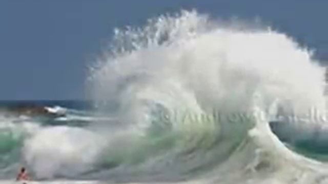 NAPOLEON - VIVE смотреть онлайн