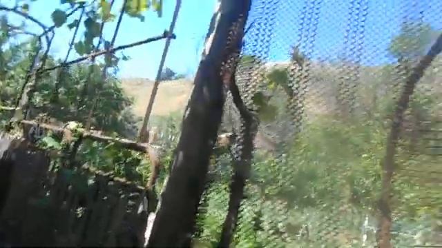 Дача      Country House