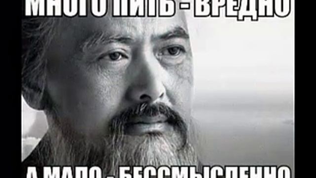 Самое классное свежее и интересное видео последней недели смотреть онлайн
