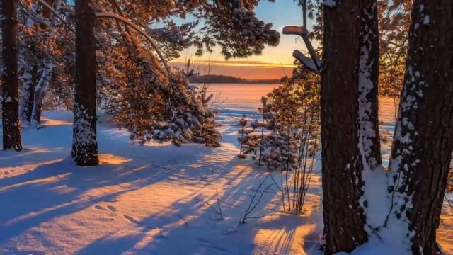 Зимние зарисовки смотреть онлайн