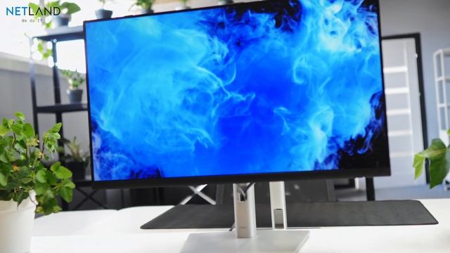 [ENG] Monitor DELL P2423 (PRESENTATION 4K) ? | Netland Computers смотреть онлайн