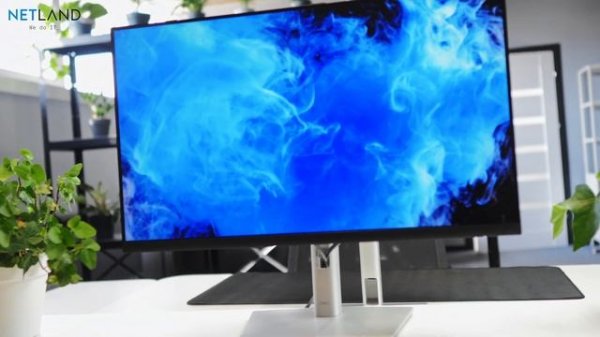 [ENG] Monitor DELL P2423 (PRESENTATION 4K) ? | Netland Computers