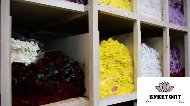 Букетопт.рф смотреть онлайн