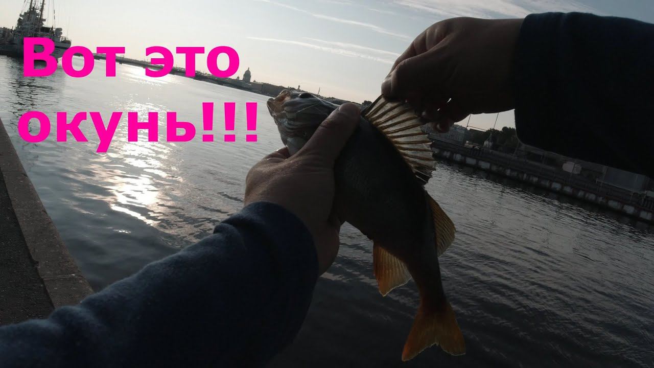 #431 #streetfishing | Окунь на Неве | смотреть онлайн