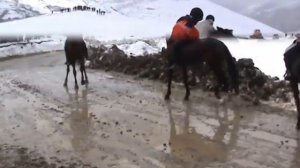 Конные скачки: Лошадь "Блеск" с. Ансалта 10 марта 2011 г.