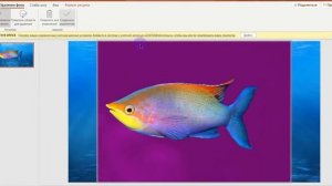Как сделать так, чтобы в презентации картинка появлялась по щелчку