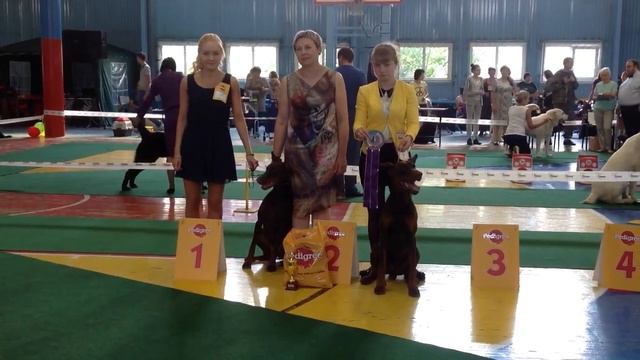 Моно КЧК Байкал-лето 2016. Эксп. В.Jurate. ЛЮ - Колликрейтс Гелена Гай Германика смотреть онлайн