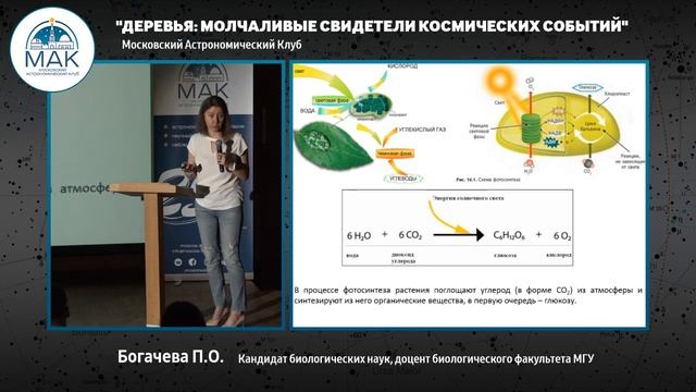 Запись лекции "Деревья - молчаливые свидетели космических событий", 21 мая 2019 смотреть онлайн