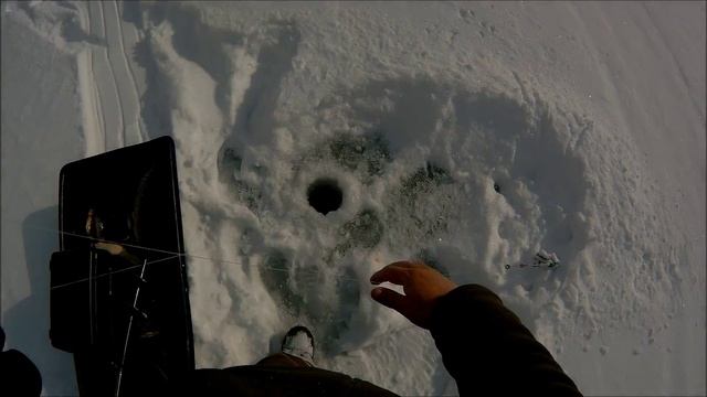 Саяно-Шушенское водохранилище. Окунь на балансир. смотреть онлайн