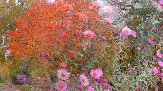 Бабье лето смотреть онлайн