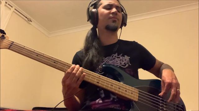 Paradise Lost - Fall from Grace @ Bass Cover смотреть онлайн