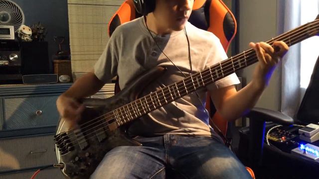 Parkway Drive - Crushed | Bass cover смотреть онлайн