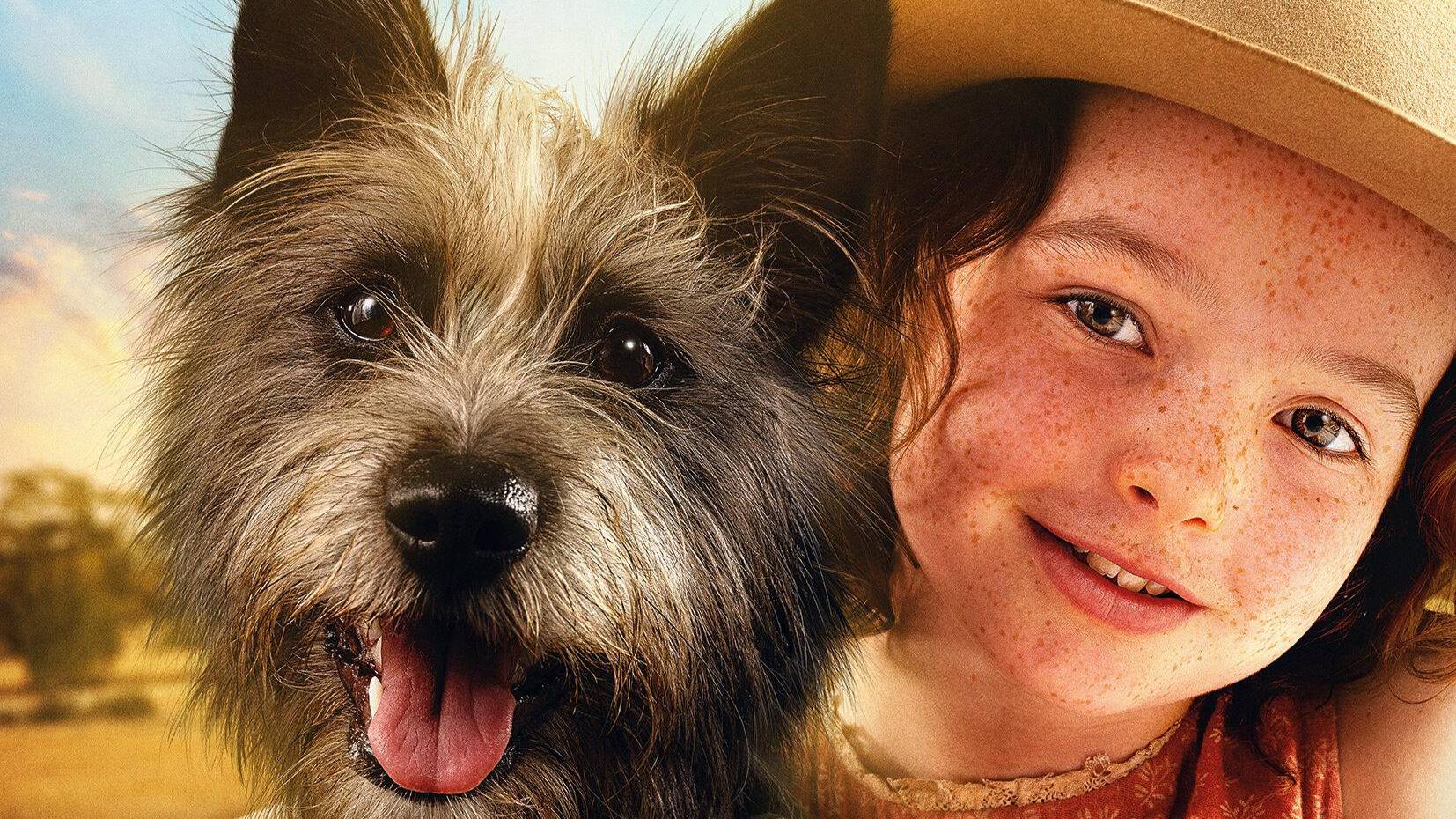 Мой любимый двортерьер - Runt смотреть онлайн