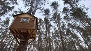 ДОМИК НА ДЕРЕВЕ