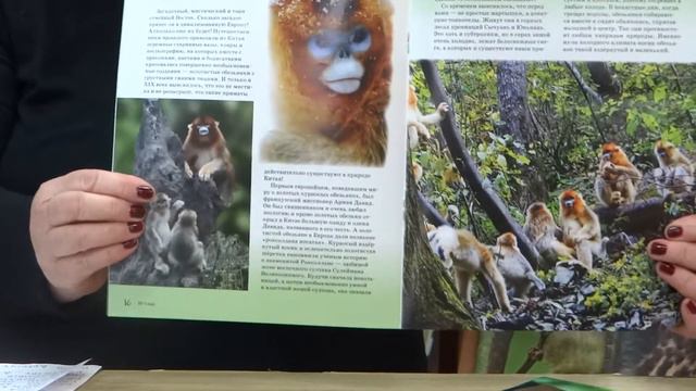 Весьегонская детская библиотека представляет обзор журнала для всей семьи 