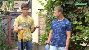 Известкование почвы. Личный опыт.