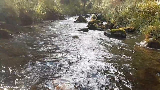 Маленькая речка в турбазе "Снежный Барс" Таштыпского района Республики Хакасия. смотреть онлайн