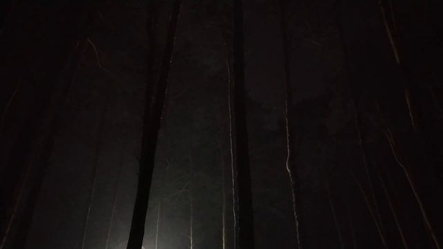 Snowstorm, Blizzard & Howling Winds / Relaxing Sounds for Sleep / Sleep Sounds смотреть онлайн