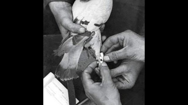 21 01 15 Классный час смотреть онлайн