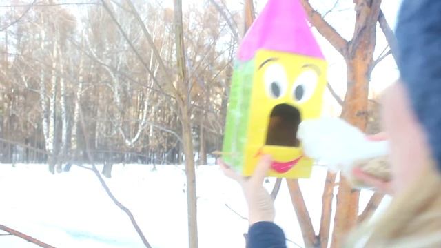 VLOG:Вешаем кормушку для птиц. смотреть онлайн