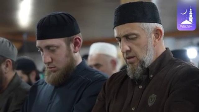ХАФИЗ СИРАТУЛЛО РАУПОВ НОВЫЙ ВИДЕО 2023 смотреть онлайн