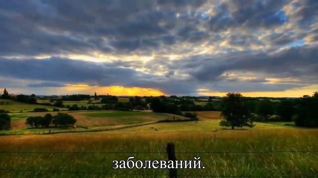 Десять тысяч шагов в день можно заменить тремя тысячами — Статья смотреть онлайн