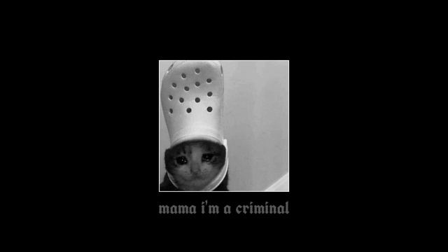 mama i'm a criminal but sped up смотреть онлайн