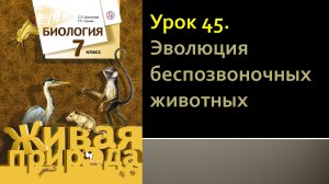 Урок 45. Эволюция беспозвоночных животных