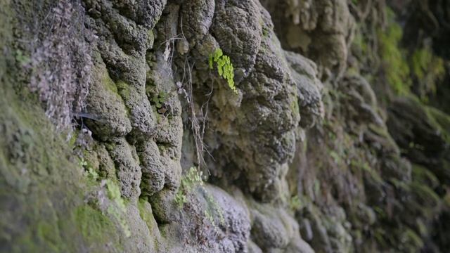 Дюденские водопады и Водопад Куршунлу в Анталии смотреть онлайн