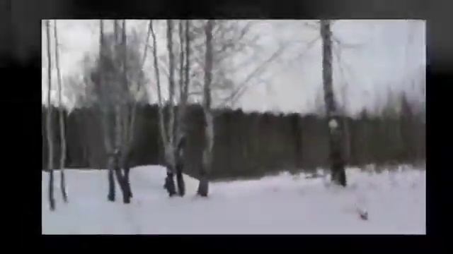 Ural Davidson смотреть онлайн