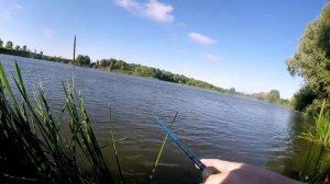 Рыбалка на Оке с берега в Рязанской области. Жерех.