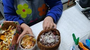 ЛУКОВАЯ ШЕЛУХА профилактика от вредителей и стимулятор