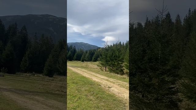 Краса Карпатських Гір!..Банда чекає команду на старт! смотреть онлайн