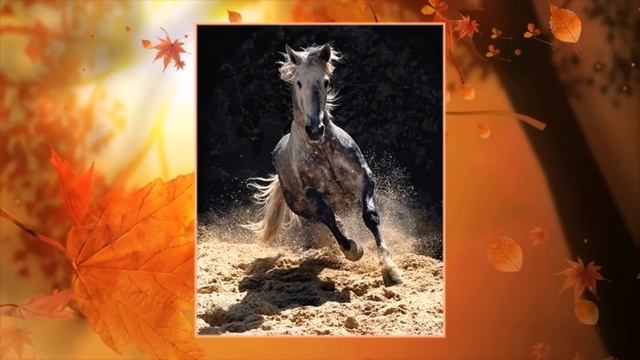 Лошадь на воле фото смотреть онлайн