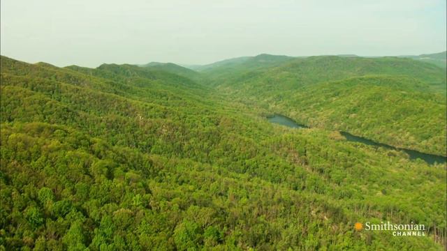 Daniel Boone's Wilderness Road смотреть онлайн