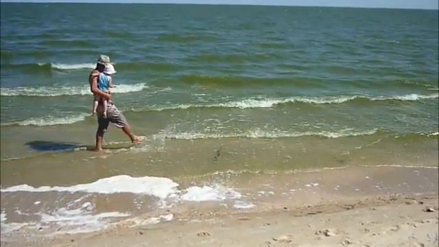 Змея на пляже возле аэропорта Таганрог смотреть онлайн