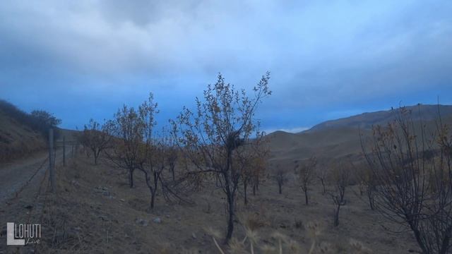 1 ночь на горах Дангары (ИГРОН - Чашмаи Нукра) смотреть онлайн