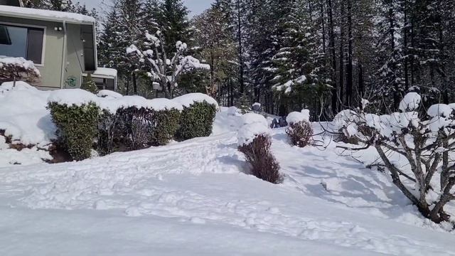 Off Grid Cabin Snowstorm!