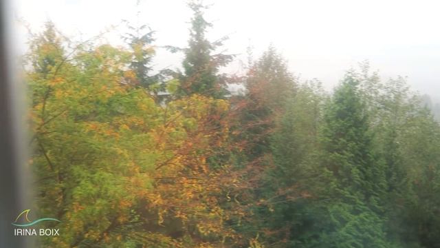 КЛИМАТ ВАНКУВЕРА * КАК МЫ ТУТ ВЫЖИВАЕМ смотреть онлайн