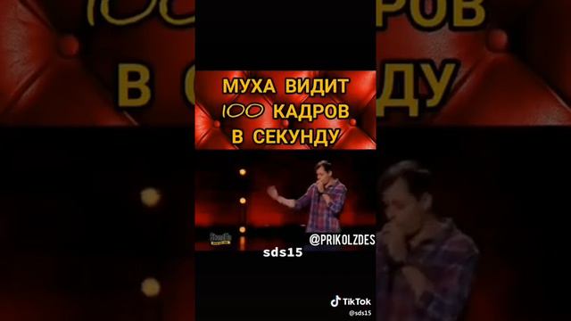 Муха видит сто кадров в минуту