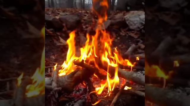 Игрь- Нобелевская премия(Б. Пастернак) смотреть онлайн