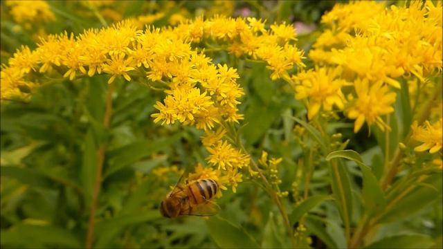 «Сотворение» глава 1 - ВСЁ ЭТО И СЕЙЧАС СУЩЕСТВУЕТ! смотреть онлайн